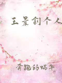 王晨钊个人简介