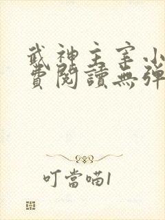 武神主宰小说免费阅读无弹窗