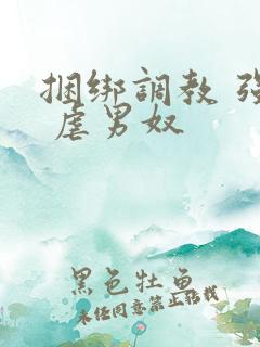 捆绑调教 强制 虐男奴