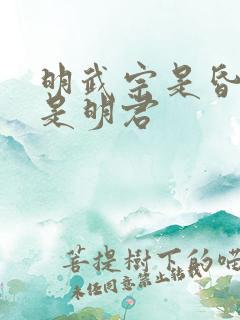 明武宗是昏君还是明君