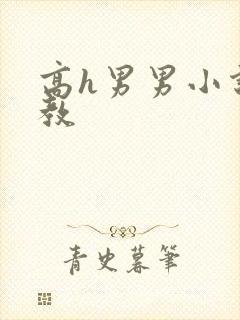 高h男男小说调教