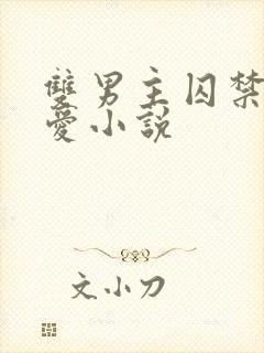 双男主囚禁强制爱小说