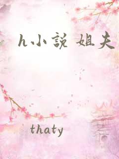 h小说 姐夫