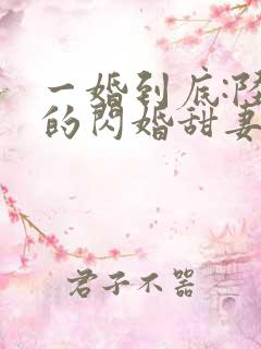一婚到底:陆少的闪婚甜妻