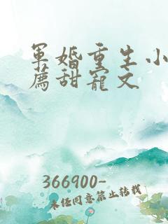 军婚重生小说推荐甜宠文