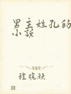 男主姓孔的现代小说
