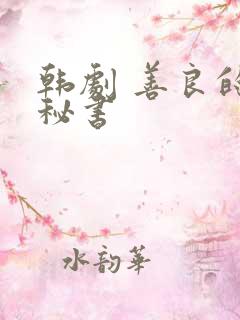 韩剧 善良的女秘书