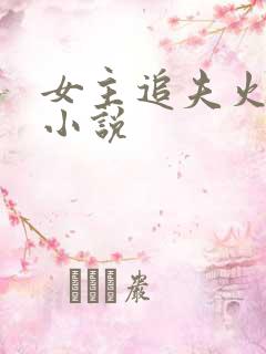 女主追夫火葬场小说