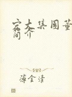 宏大集团董事长简介