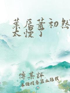 叶辰萧初然更新太慢了