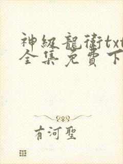 神级龙卫txt全集免费下载