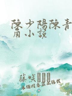 陈少阳陈青帝主角小说