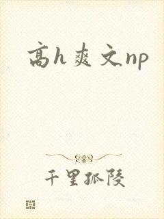 高h爽文np