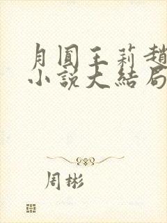 月圆王莉赵先生小说大结局