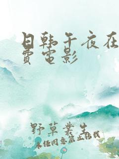 日韩午夜在线免费电影