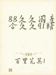 88久久国产综合久久91精品