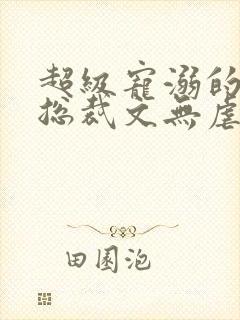 超级宠溺的甜腻总裁文无虐