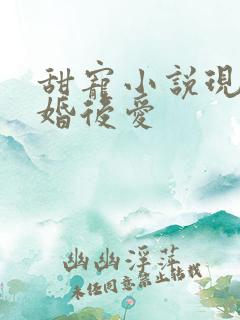 甜宠小说现言先婚后爱