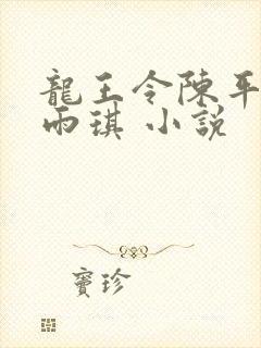 龙王令陈平,苏雨琪 小说