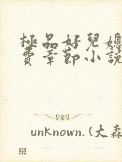 极品好儿媳的免费章节小说全文阅读