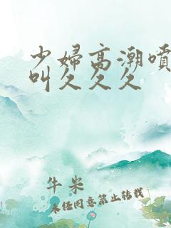 少妇高潮喷水惨叫久久久