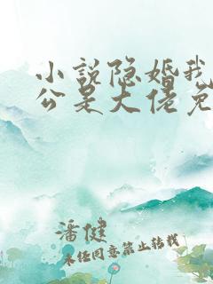 小说隐婚我的老公是大佬免费阅读