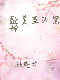 欧美亚洲黑丝少妇