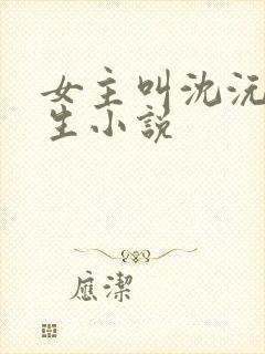 女主叫沈沅的重生小说