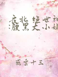 夜北 绝世神医:腹黑大小姐