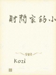 财阀家的小儿子