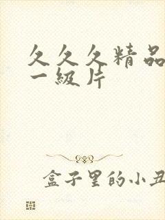 久久久精品国产一级片