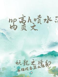 np高h喷水荡肉爽文