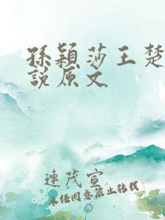 孙颖莎王楚钦小说原文