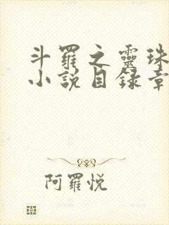 斗罗之灵珠神剑小说目录章节