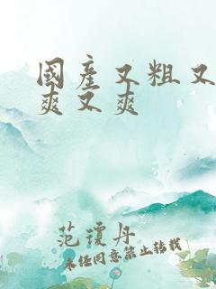 国产又粗又黄又爽又爽