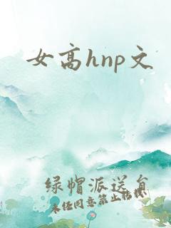女高hnp文
