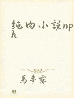 纯肉小说np高h