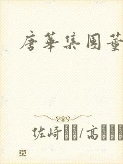 唐华集团董事长