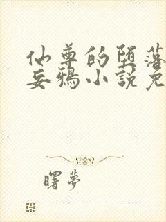 仙尊的堕落by妄鸦小说免费阅读