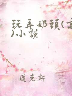 玩弄奶头(高h)小说