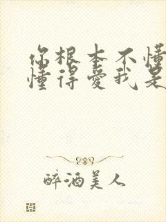 你根本不懂得不懂得爱我是什么歌