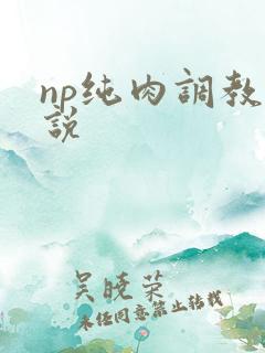 np纯肉调教小说
