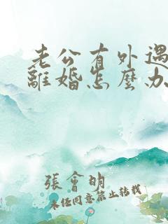 老公有外遇我要离婚怎么办