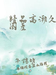 精品高潮久久久国产