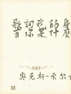 歌词我的身边没有你是什么歌