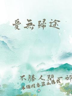 爱无归途
