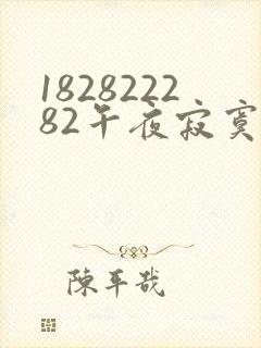 182822282午夜寂寞影院