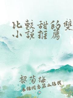 比较甜的双男主小说推荐