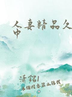 人妻精品久久久中