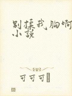 别揉我胸啊嗯～小说